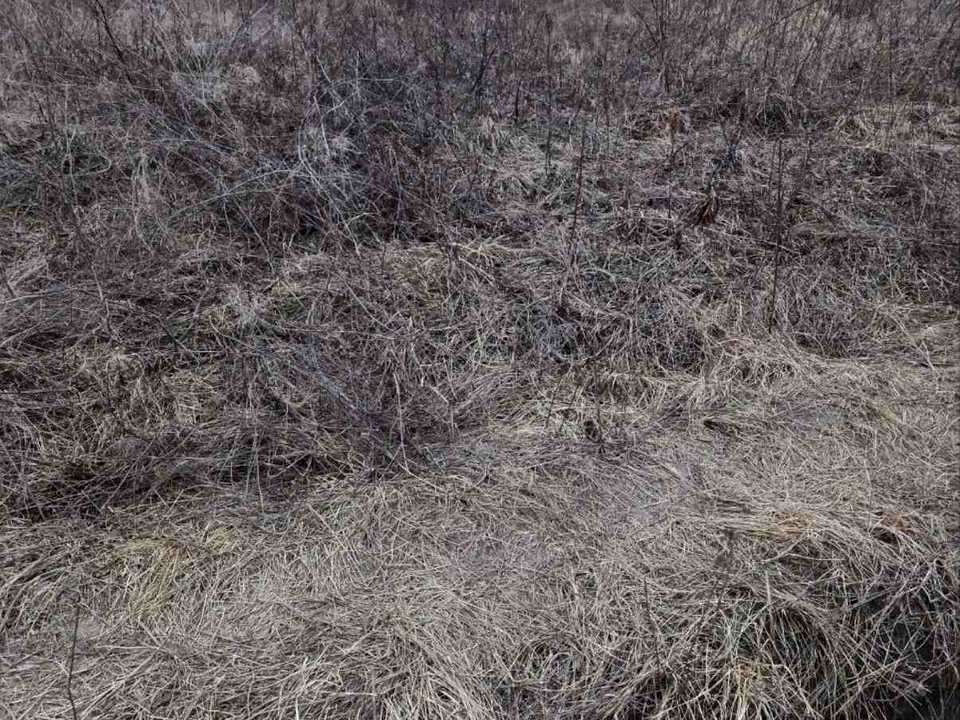 1823771289951739