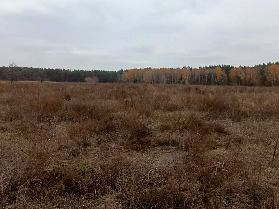 1818866252926163