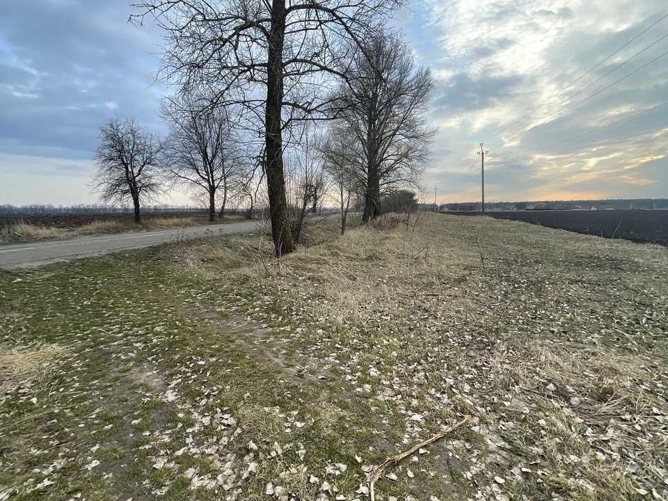 1794488590452993