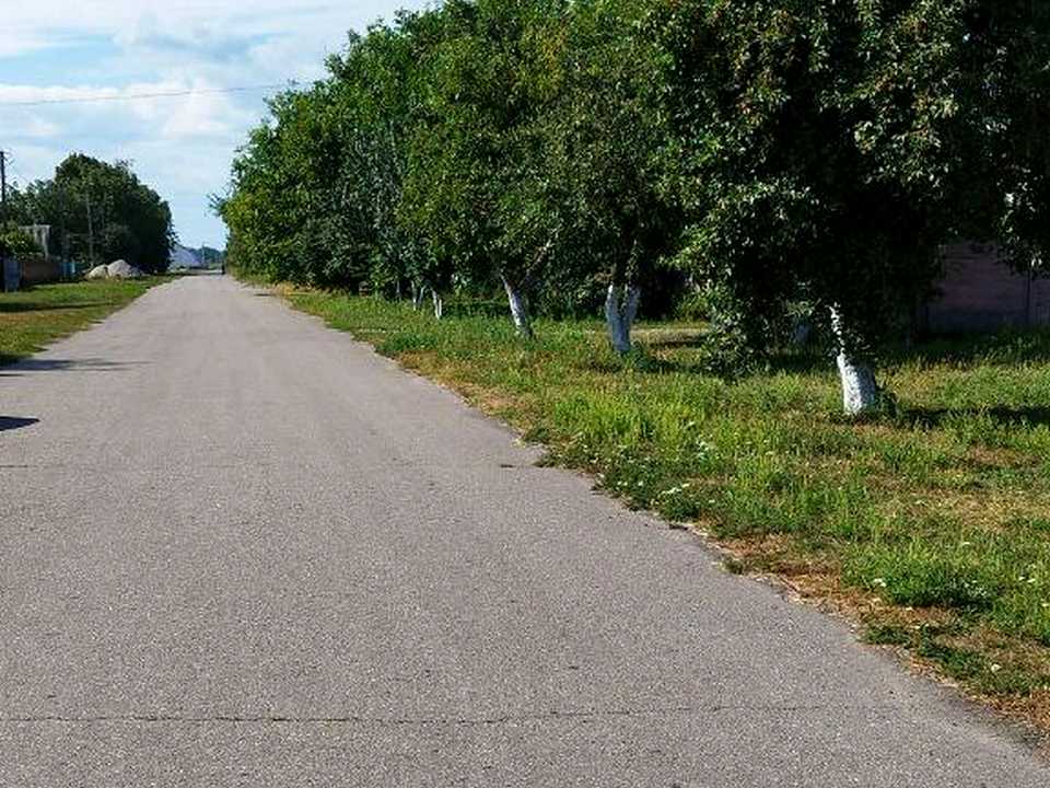 1775956609128343