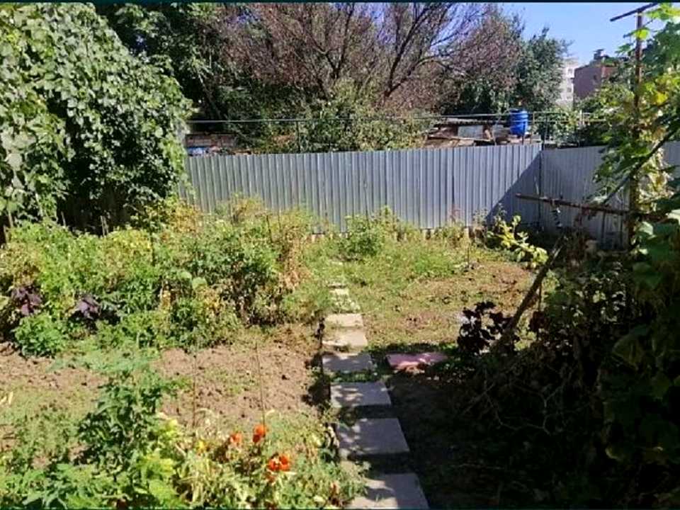 1793752871023811