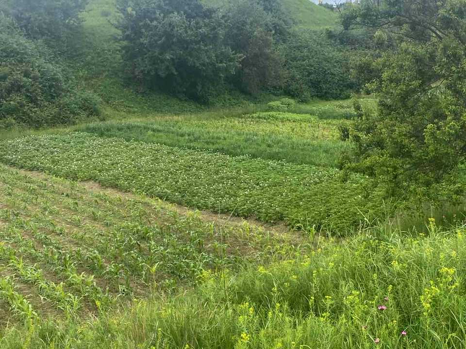 1836204161251403