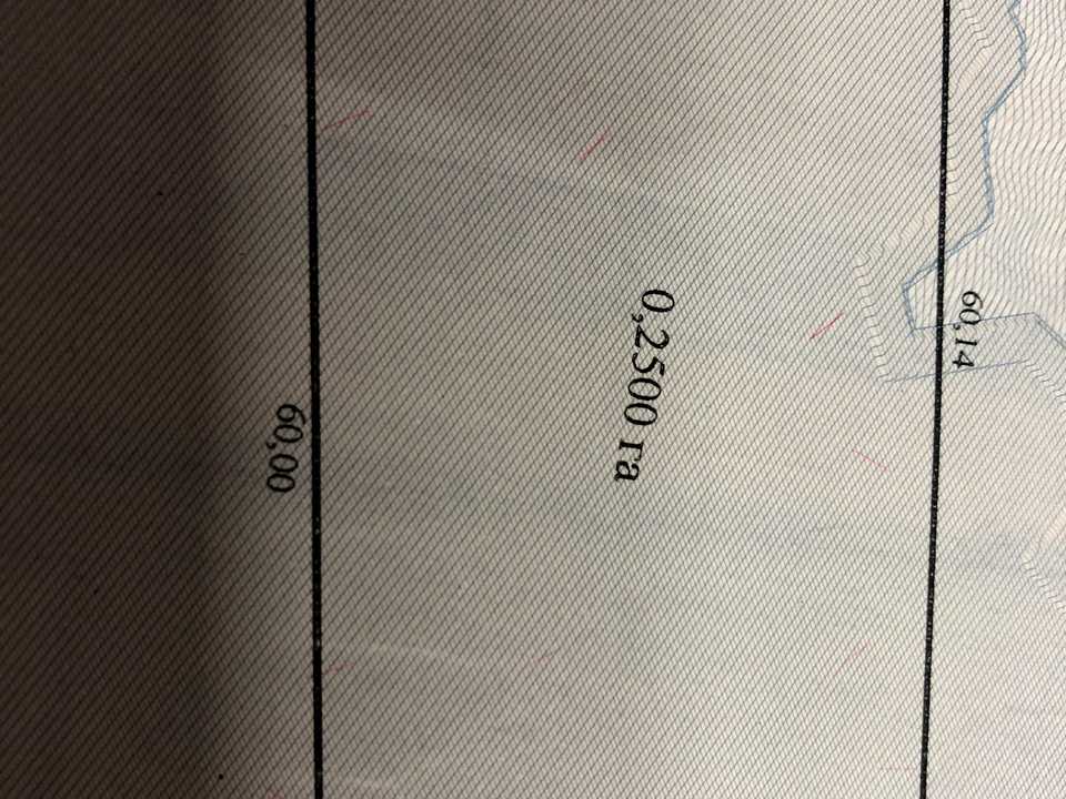1833908526433781