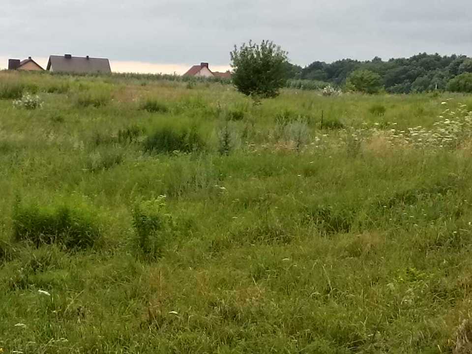 1842957646899403