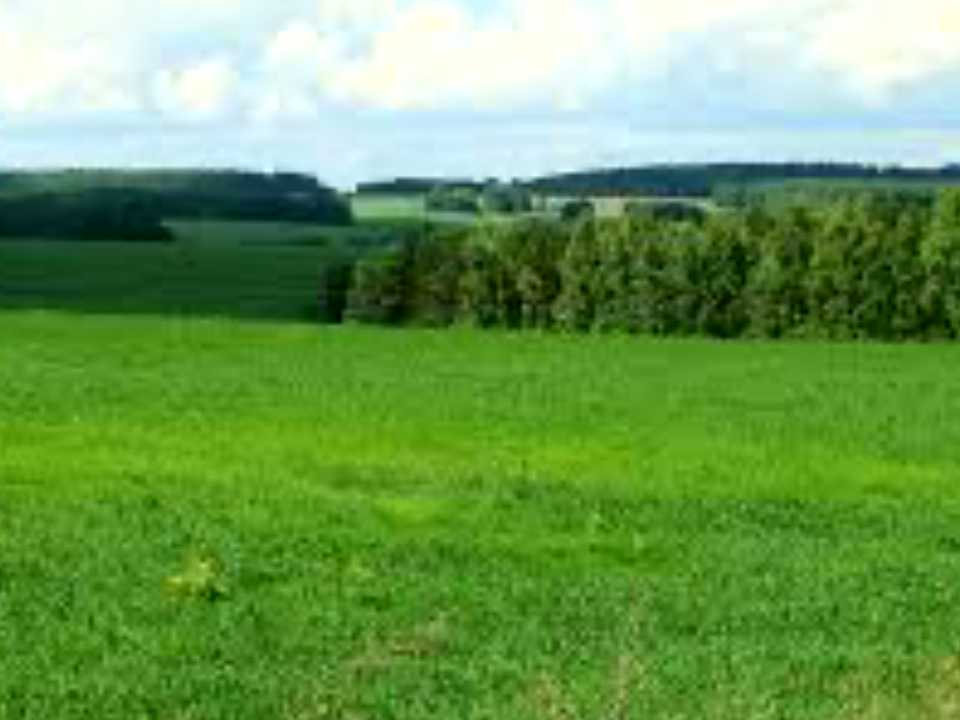 1842089280316620