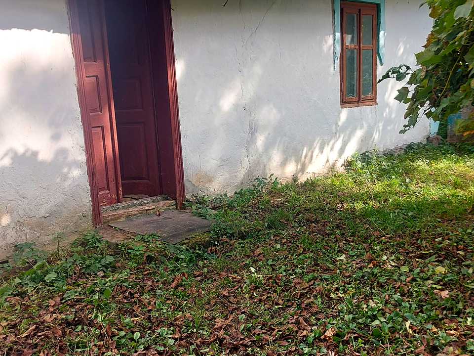 1845596015803203
