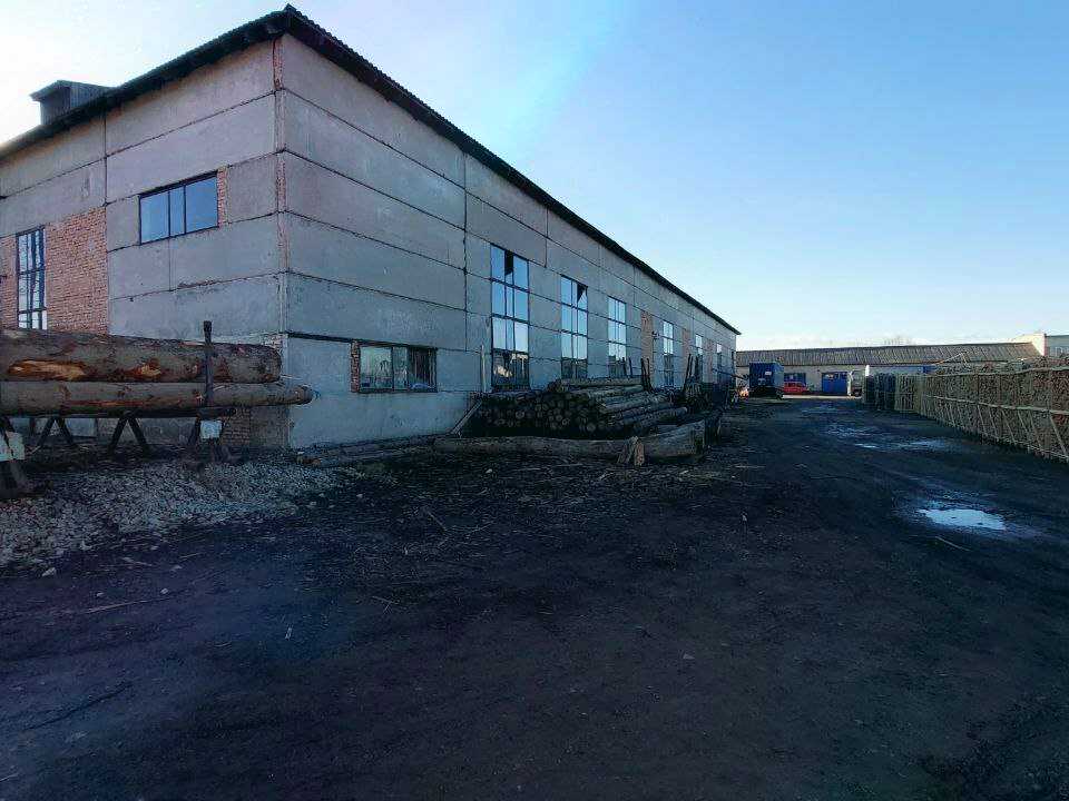 1810561088001594