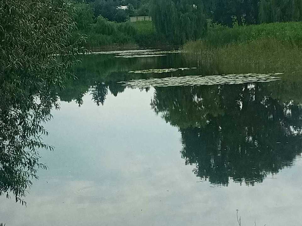 1837612838116269