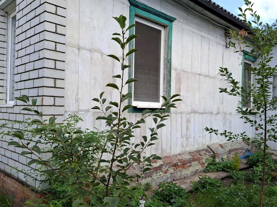 1843510278636827