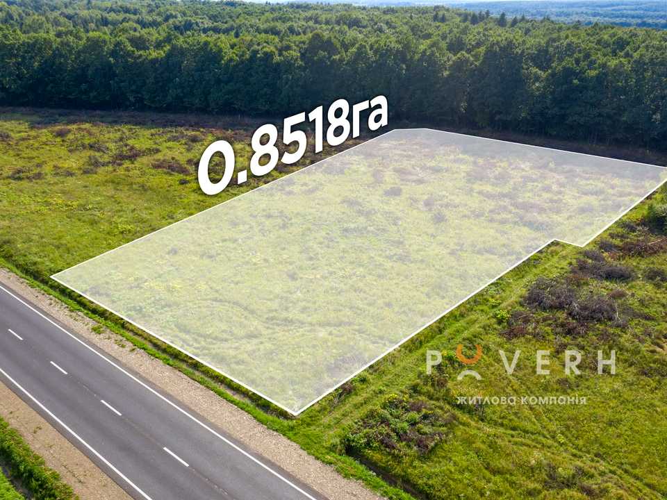 1850574001166945