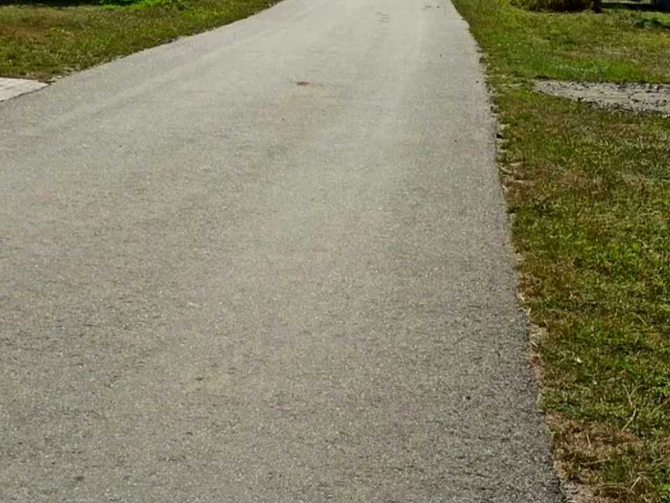 1723664291283145