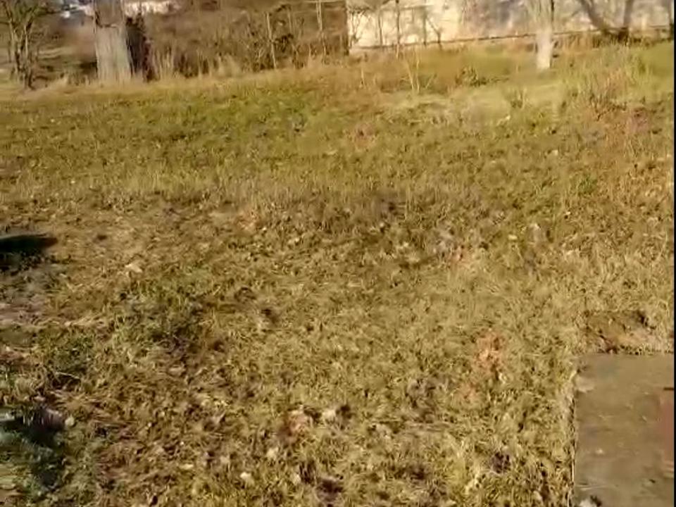 1807173220542964