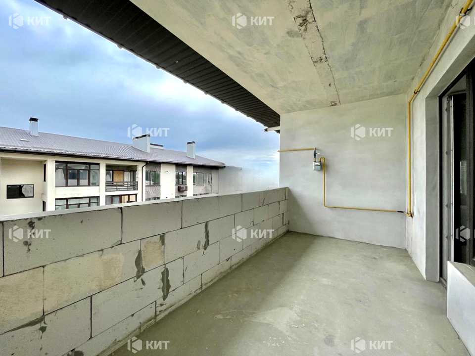 1842065286284949
