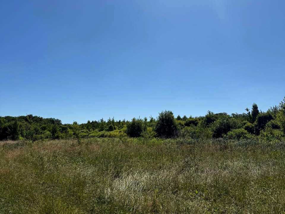 1836538501843174