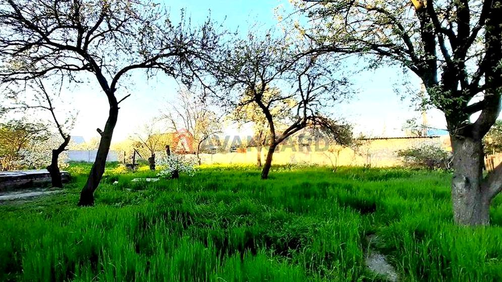 Зоопаркова вулиця