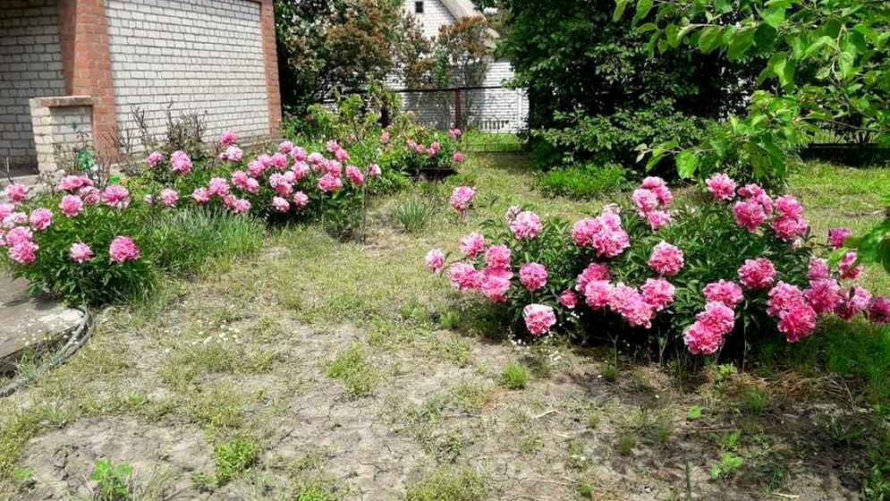 вулиця Миколаївське Шосе