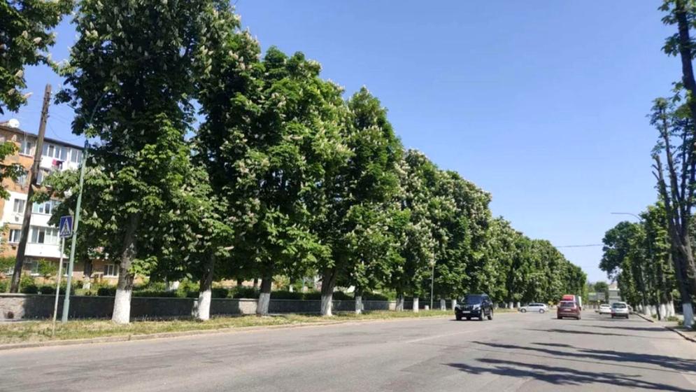 вулиця Столярчука