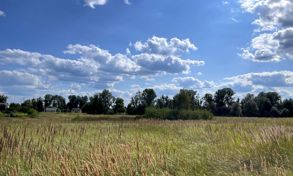 земельна ділянка, 3600.0 м²
