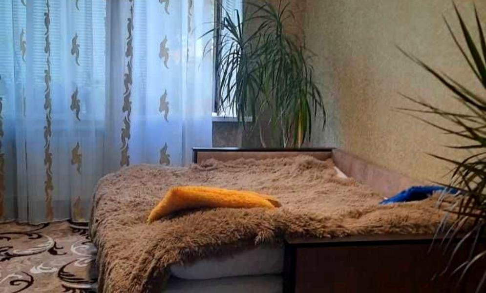 Франтішка Крала вул., 65