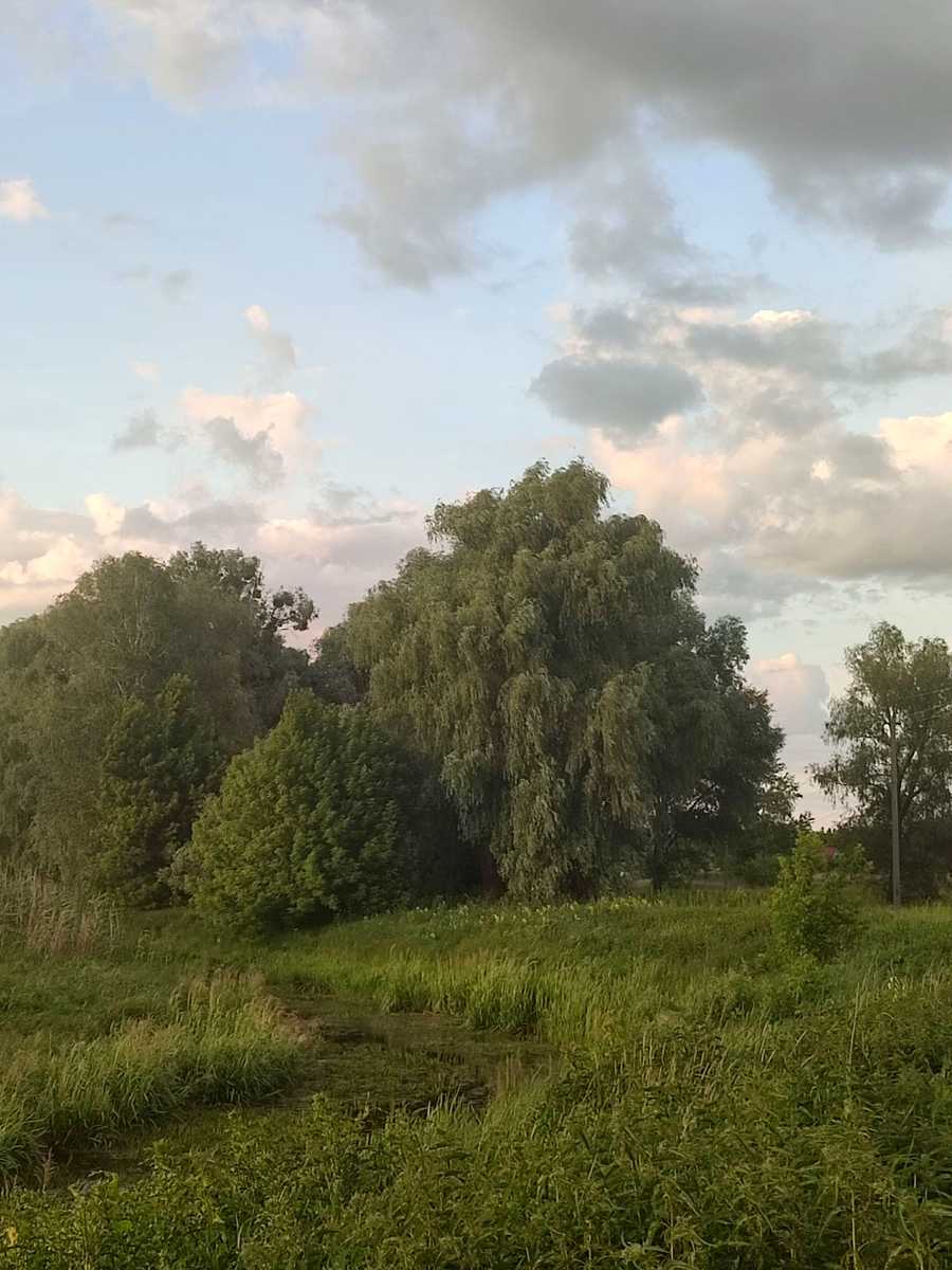 1842362201821255