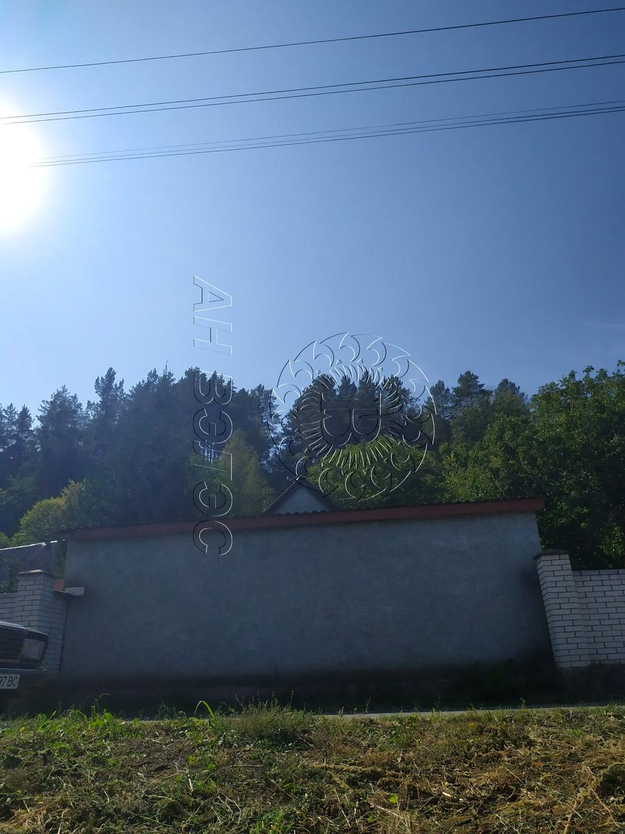 1696107502814491