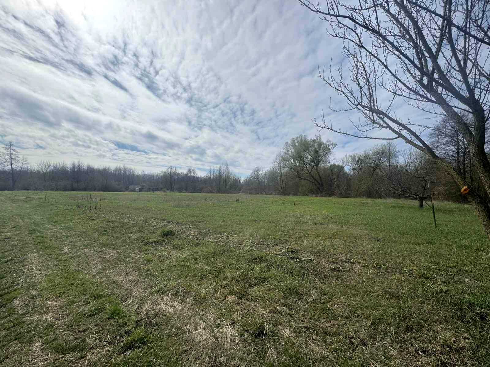 1829312202062970