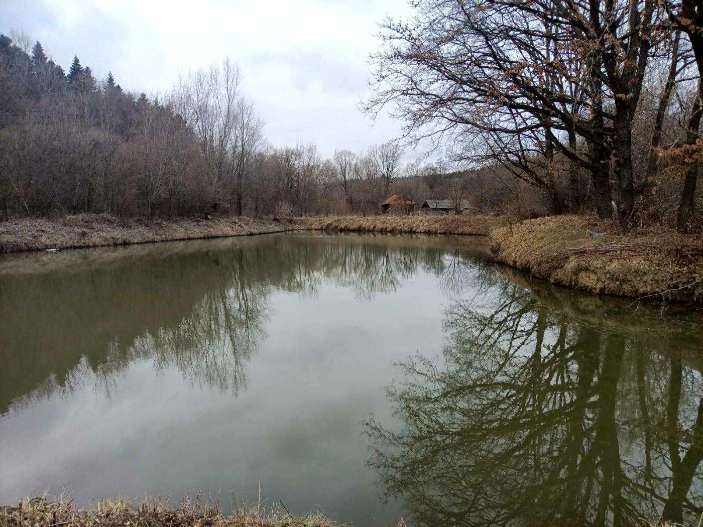 1825040076600408.jpg