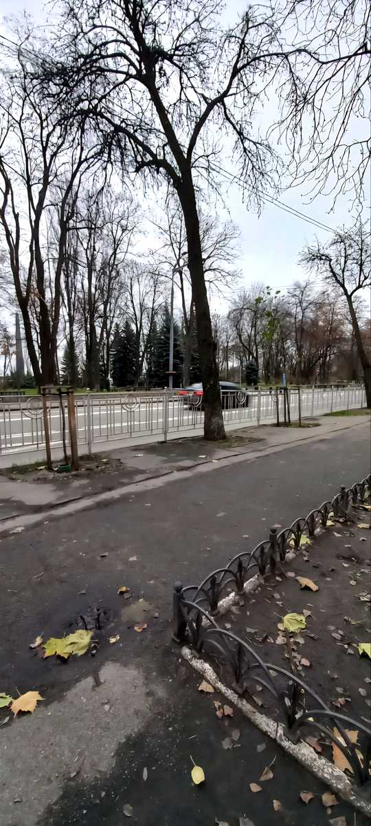1851021539172847