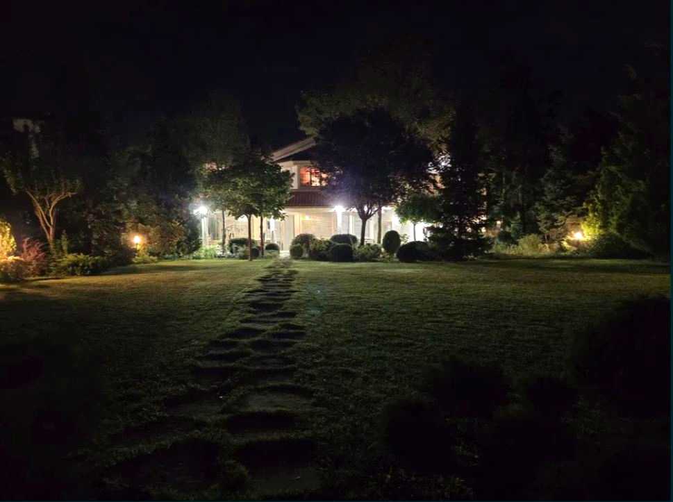 1845316396770907