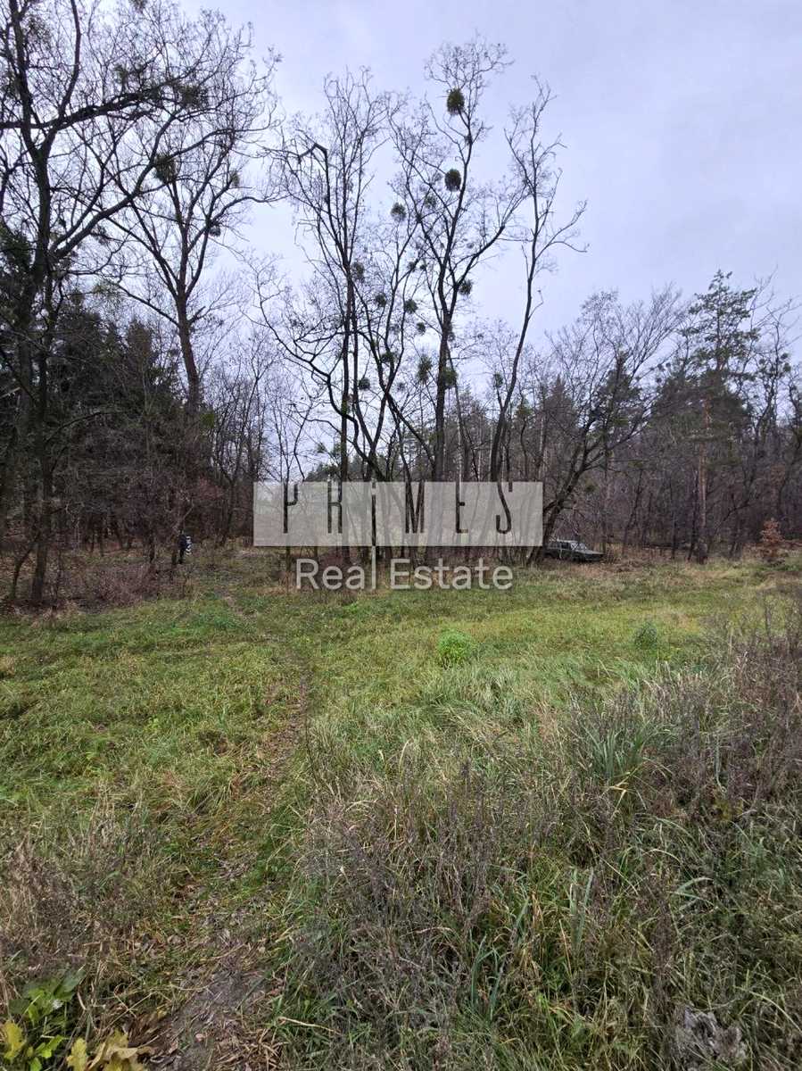 1849207898823688