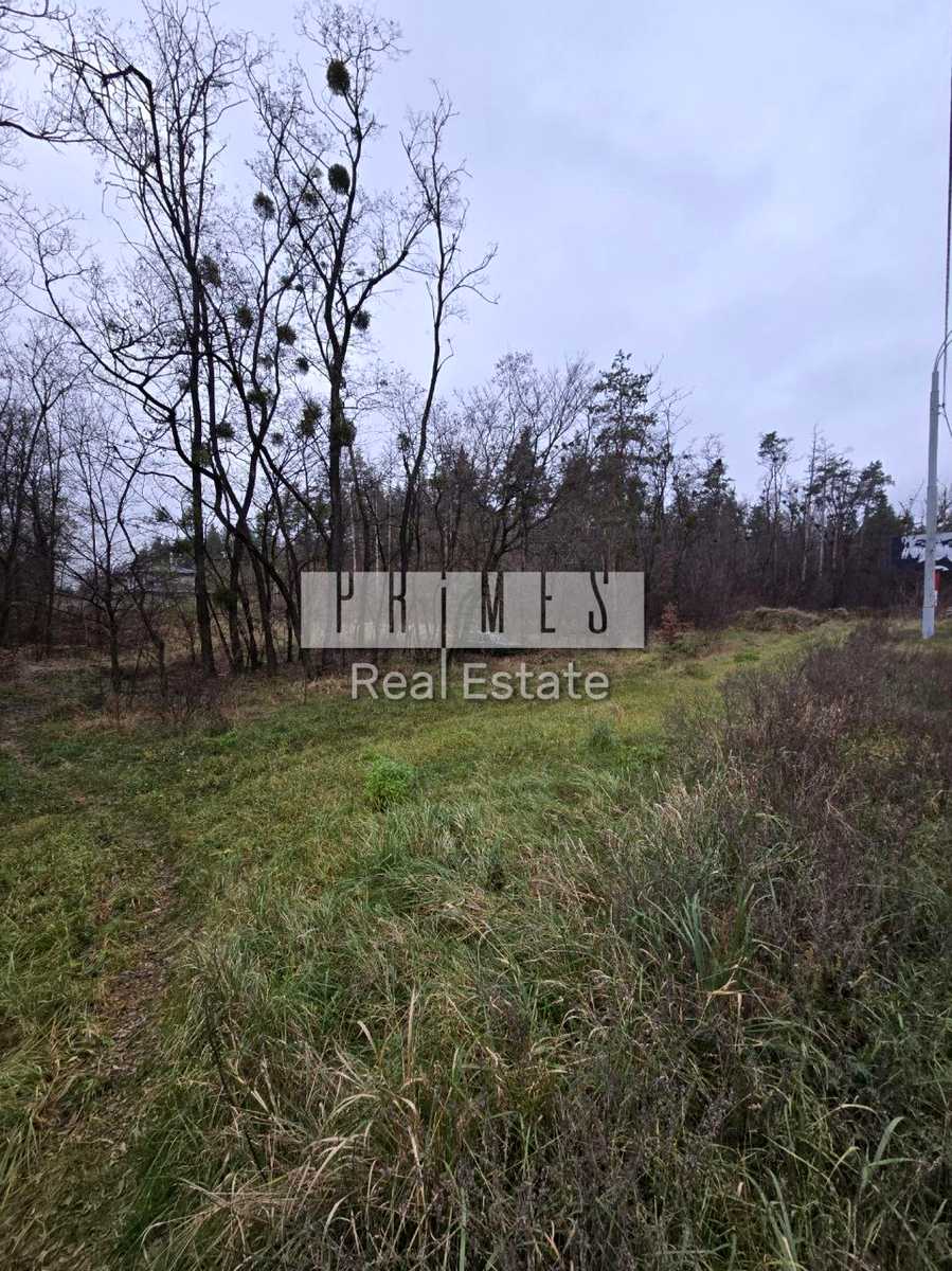 1849207898322535