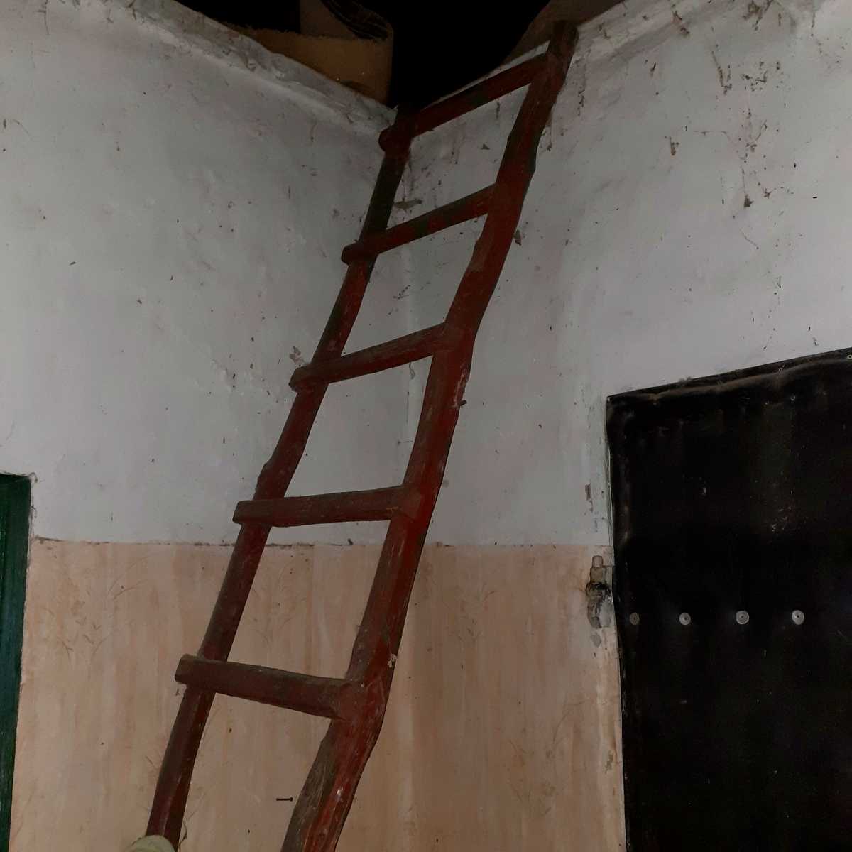 1838247898875157