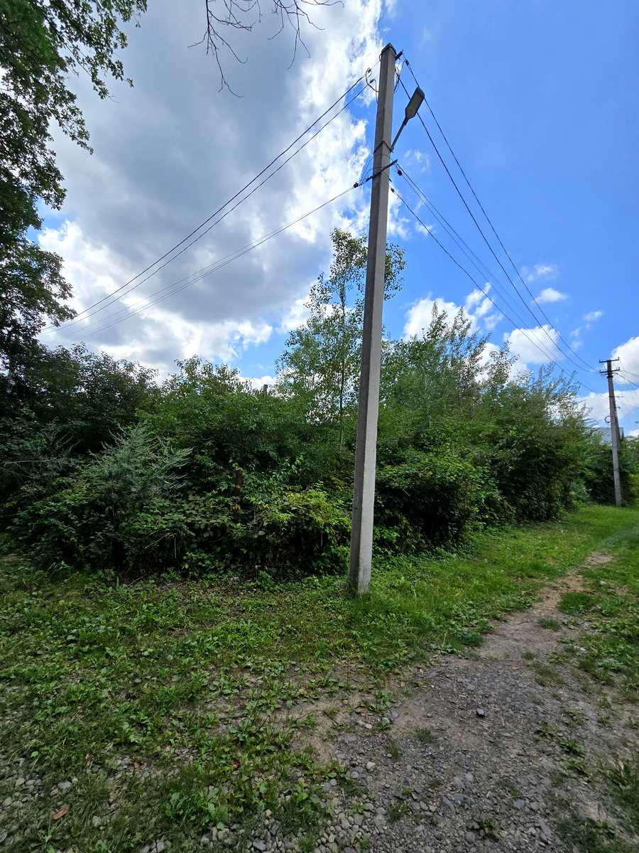 1839620824162462