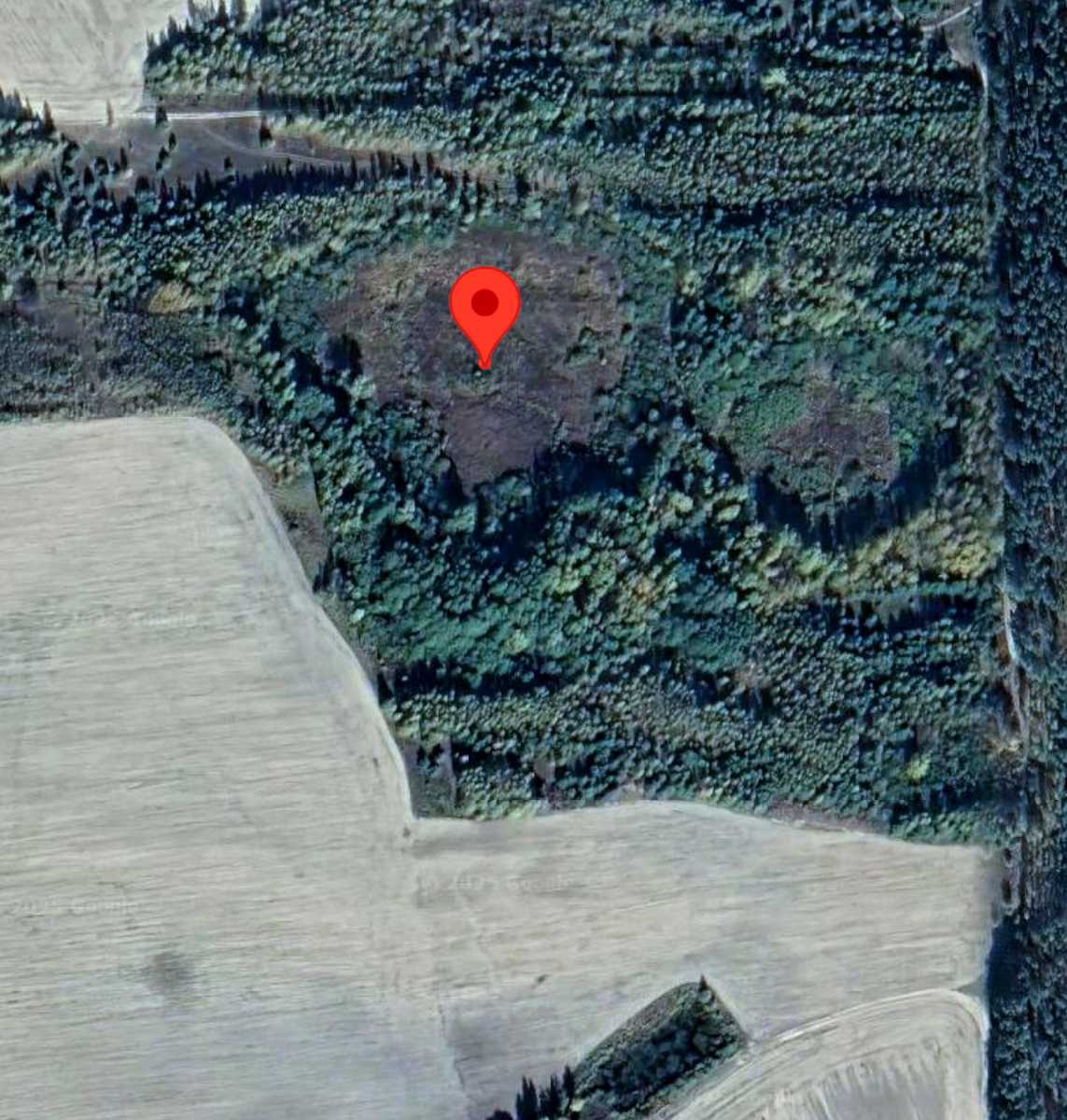 1838441389207379