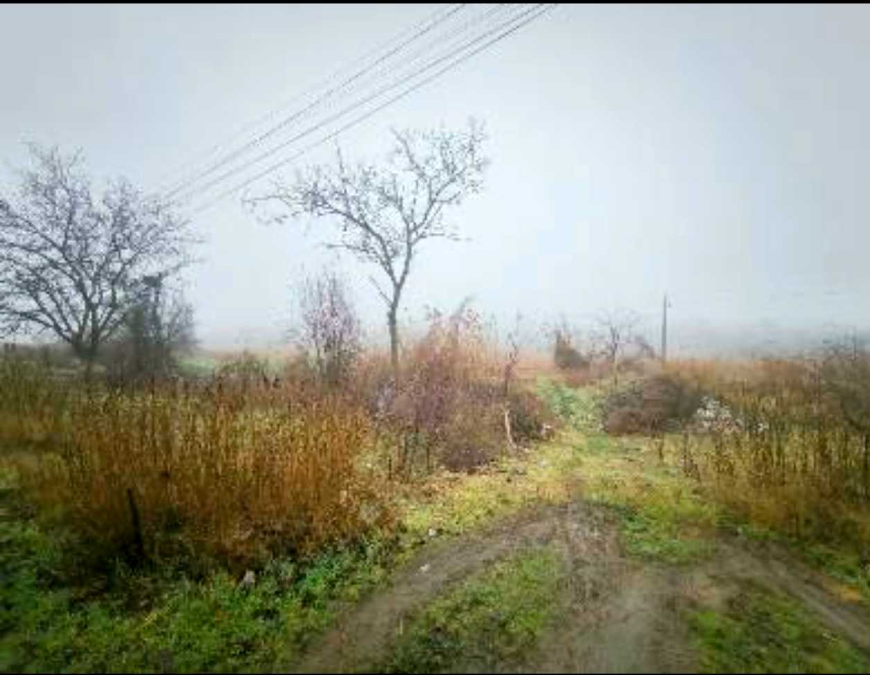 1850948406657237