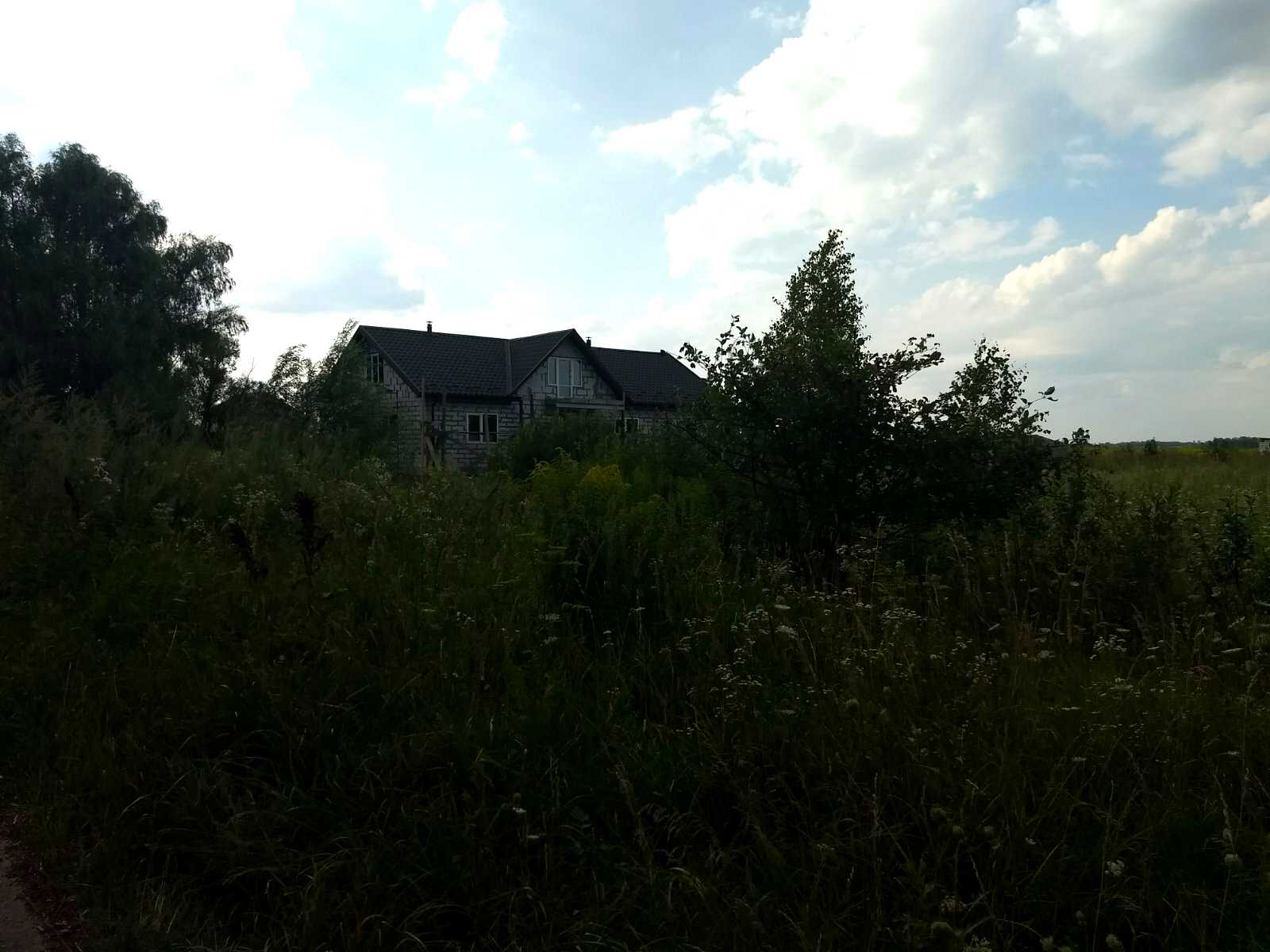 1775461486212794