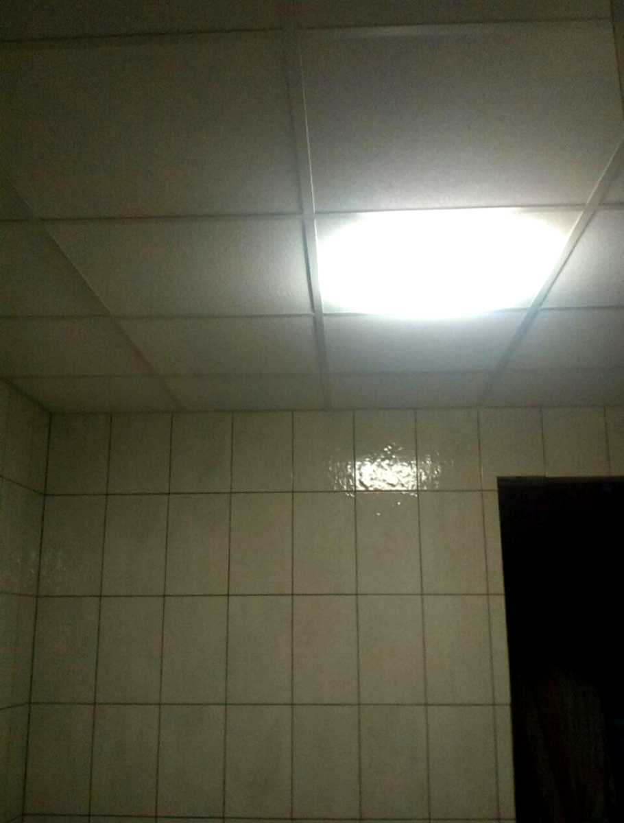 1830190819720198