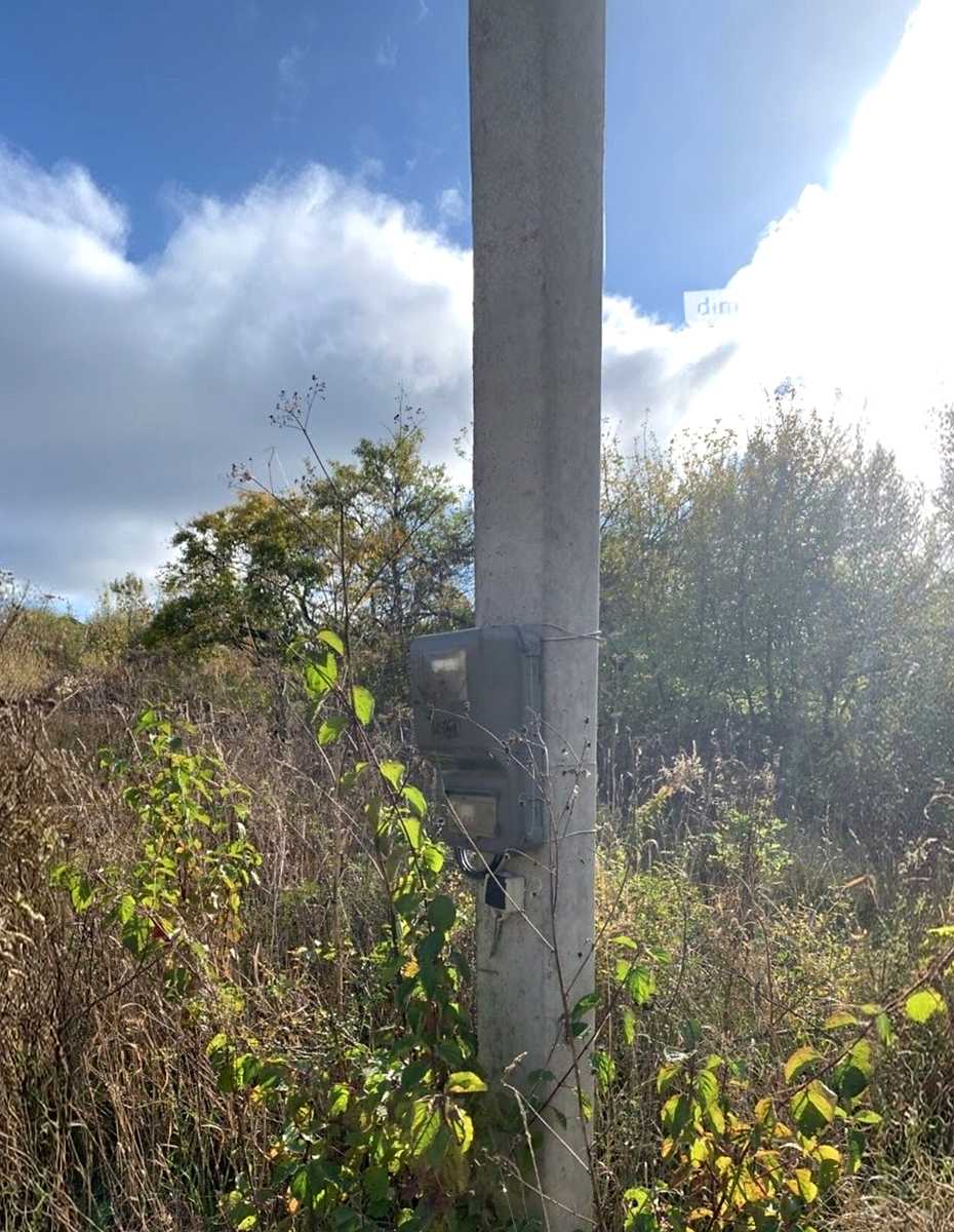 1846263979721941