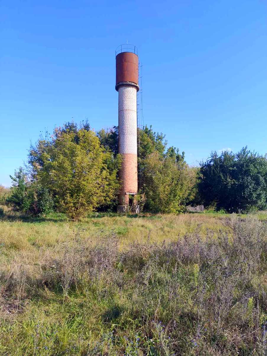 1846882736510306