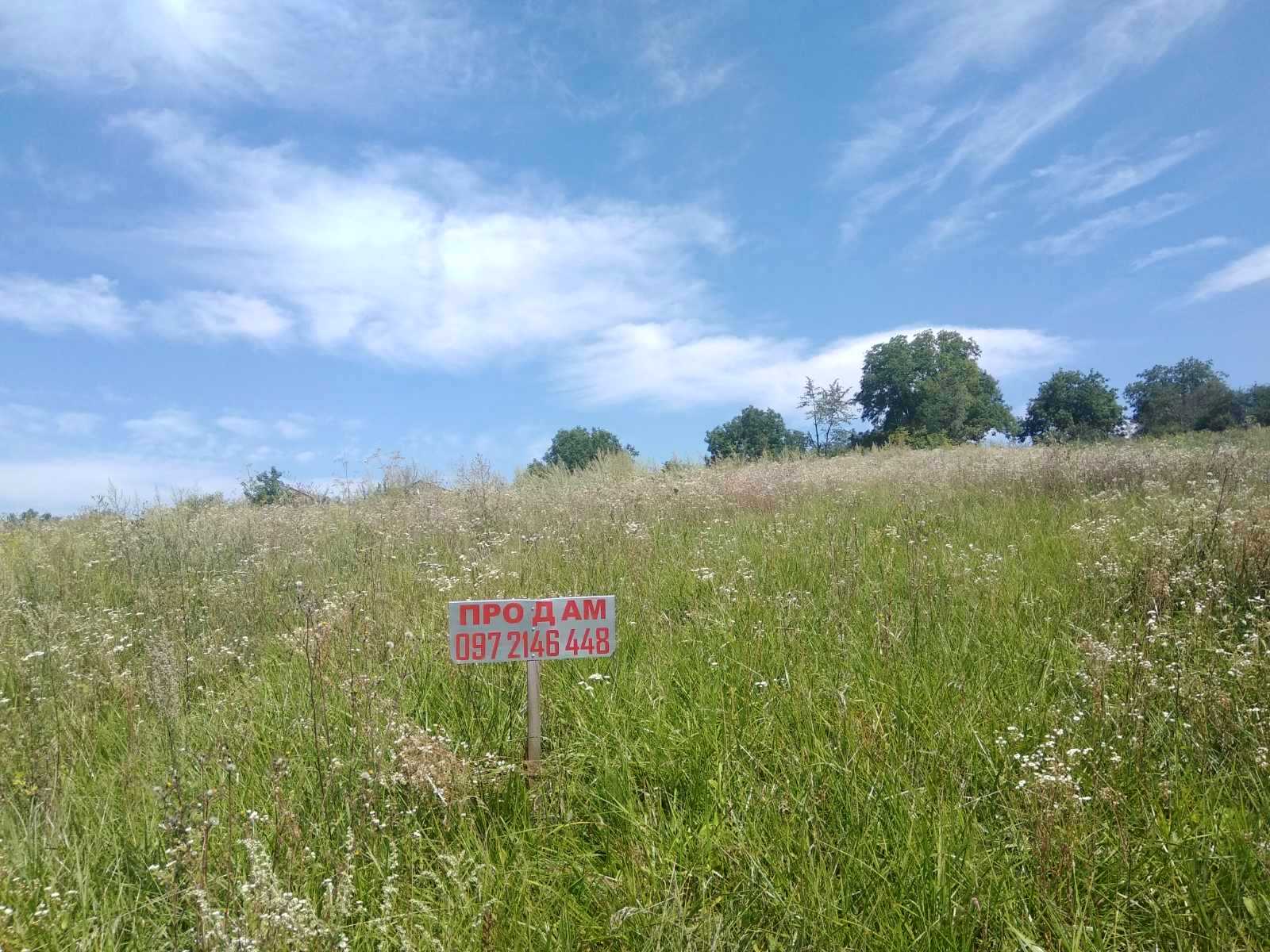 1736246358731784
