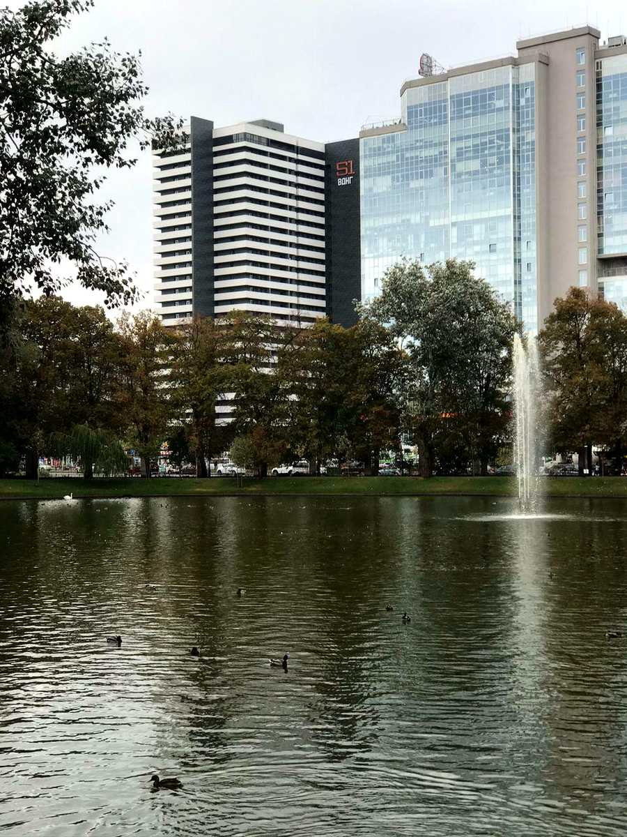 1800788413307373