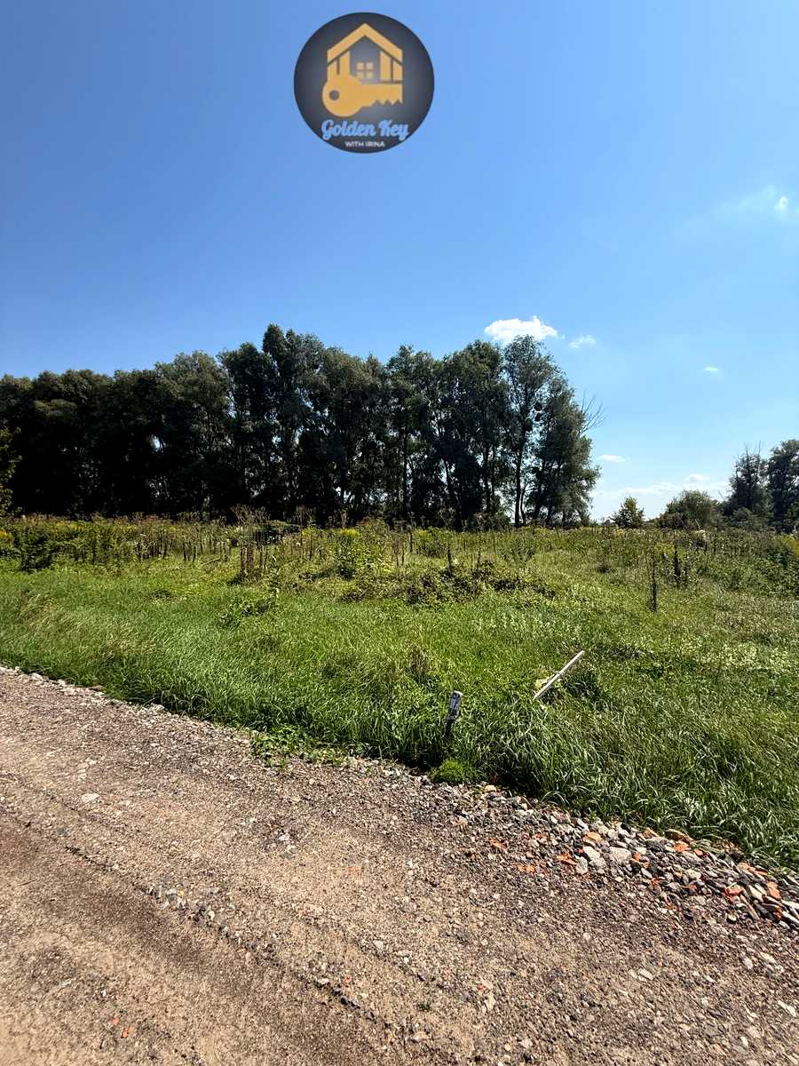 1842692175850708