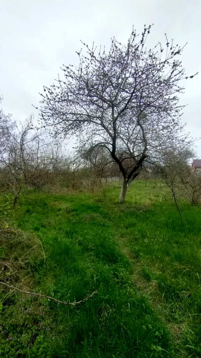 1851209906130651