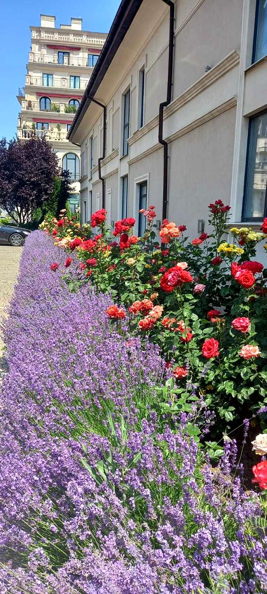 2-rooms apartment apartment by the address st. Grecheskaya (area 60 m²) - Atlanta.ua - photo 14