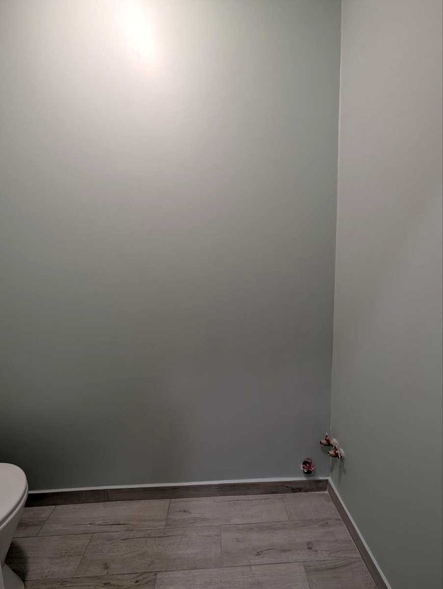 1851484308386025