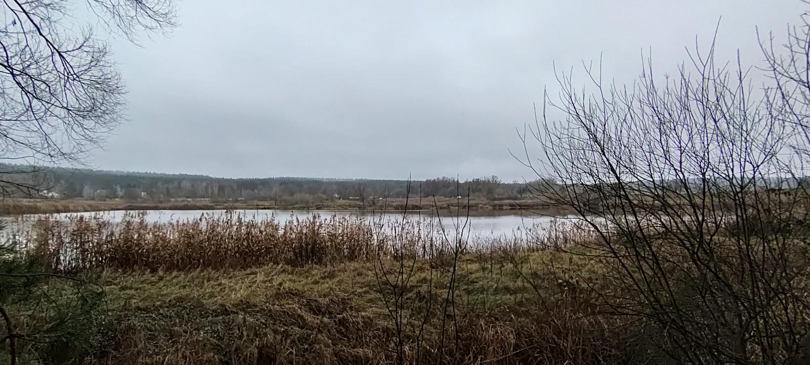 1851690144230801