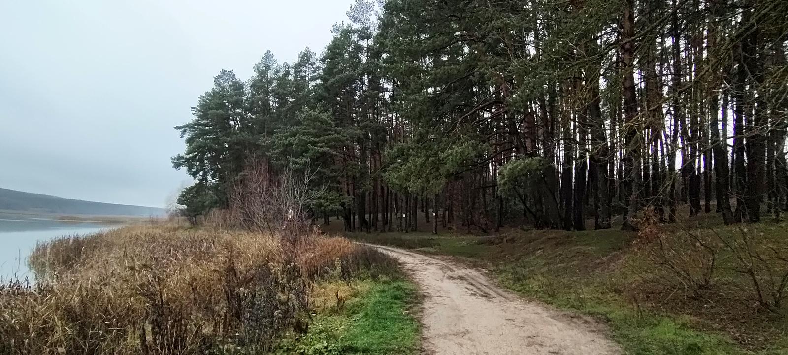 1851690152153160