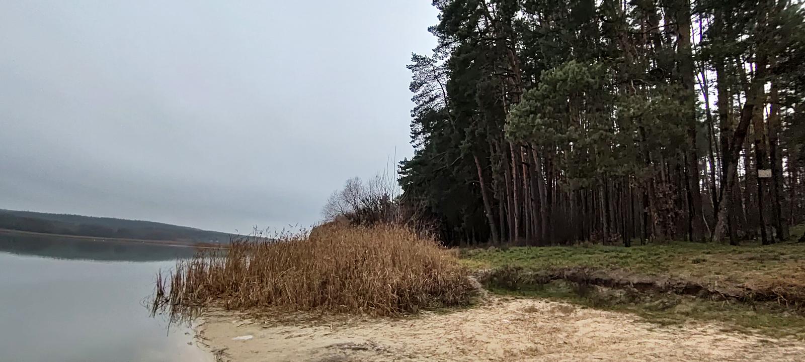 1851690192424451