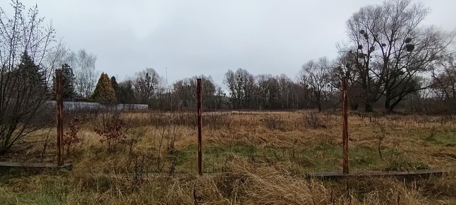 1851690279659630