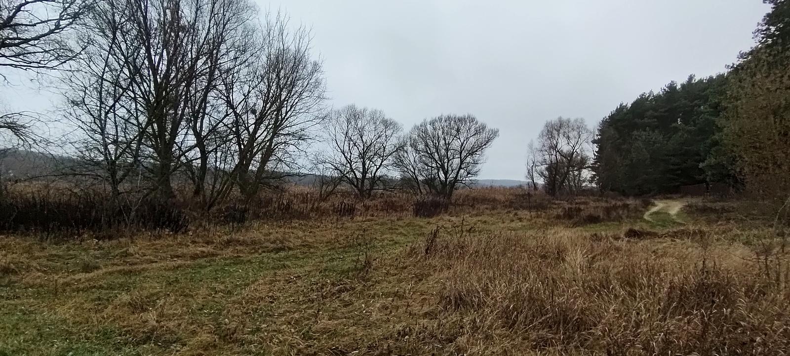 1851690337405034